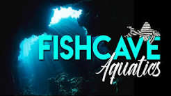 Aquatics Shop UK